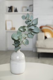 Vase with beautiful eucalyptus branches on white table in living room