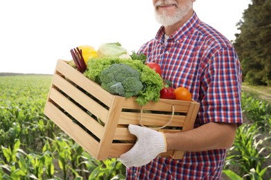 Harvesting season. Farmer holding wooden crate with crop in field, closeup
