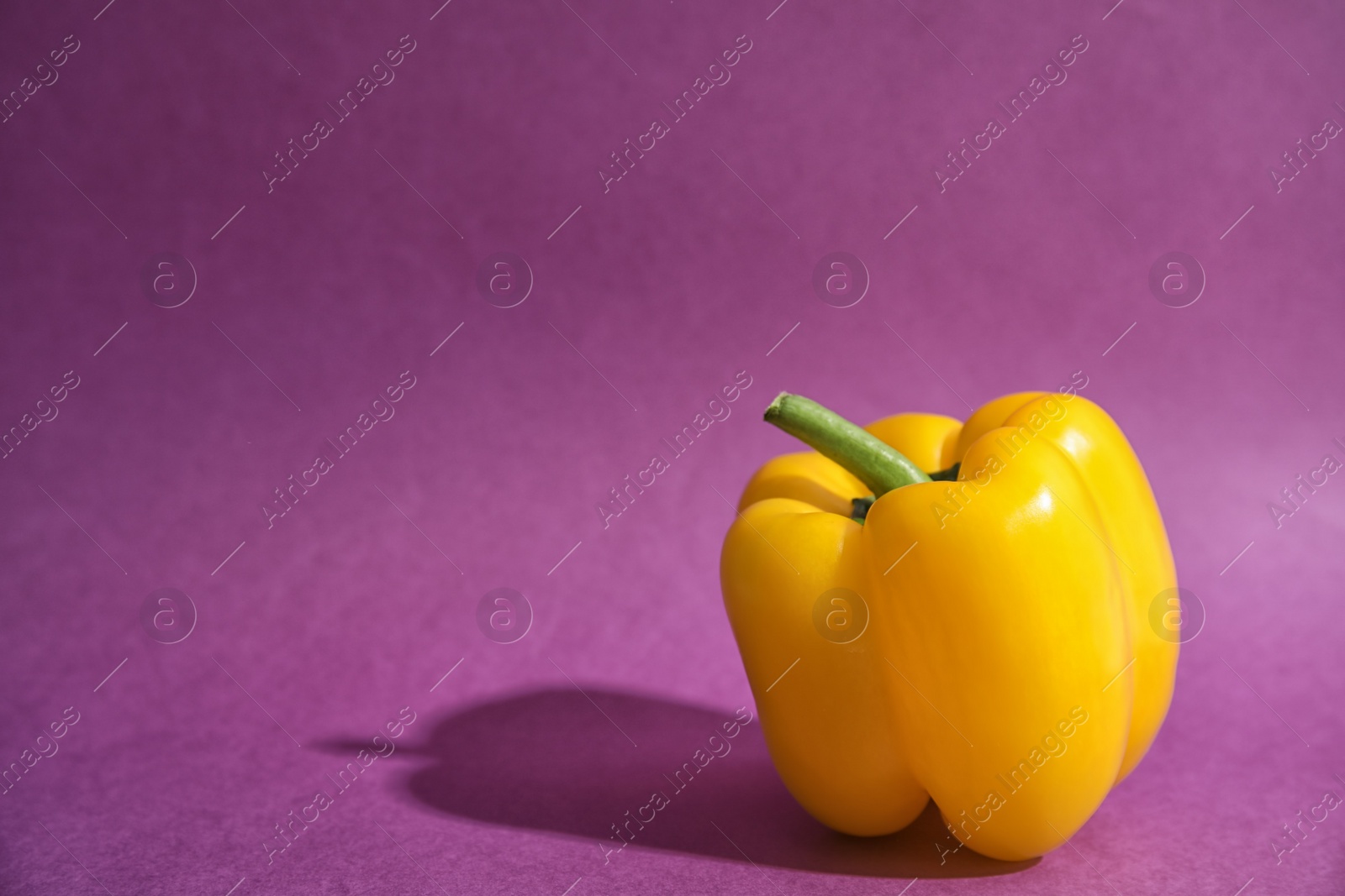 Photo of Raw ripe paprika pepper on color background