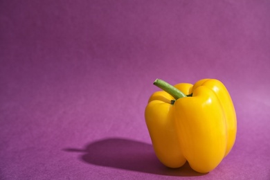 Photo of Raw ripe paprika pepper on color background