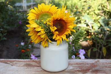 Bouquet of beautiful sunflowers in tin on wooden table outdoors