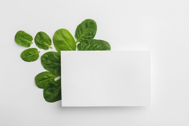 Photo of Blank card and fresh spinach leaves isolated on white, top view. Space for text