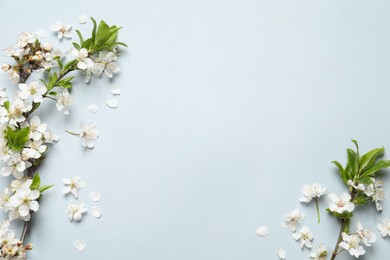 Blossoming spring tree branches as borders on light background, flat lay. Space for text