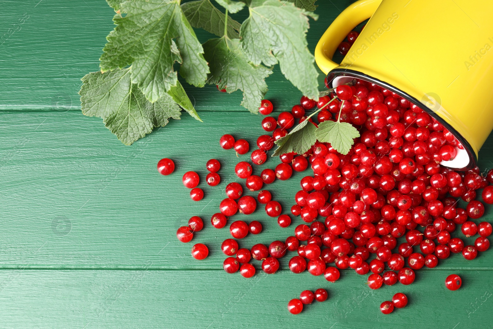 Photo of Many ripe red currants, mug and leaves on green wooden table, flat lay. Space for text