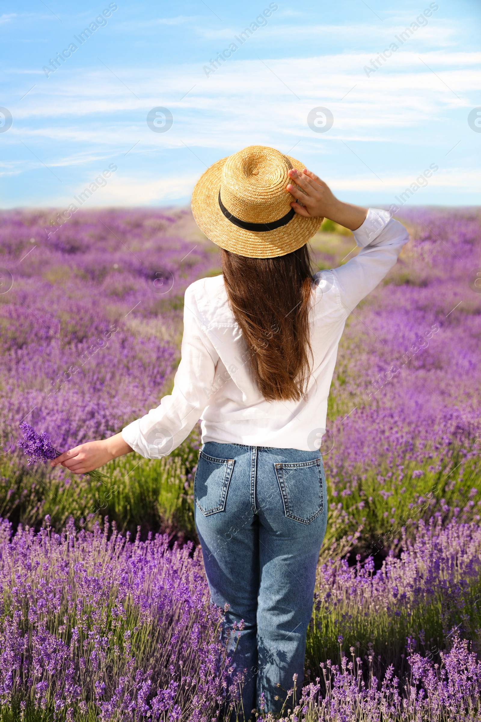 Photo of Young woman with lavender bouquet in field on summer day