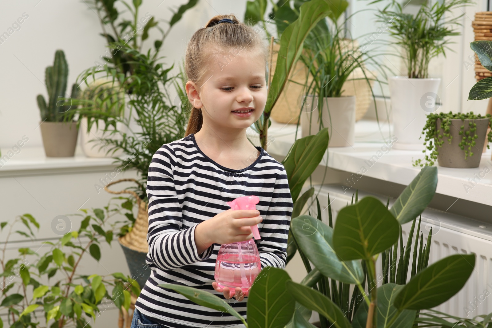 Photo of Cute little girl spraying beautiful green plant at home. House decor