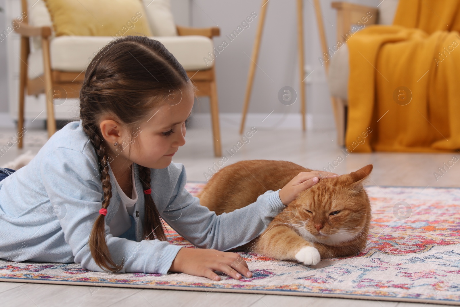 Photo of Little girl petting cute ginger cat on carpet at home