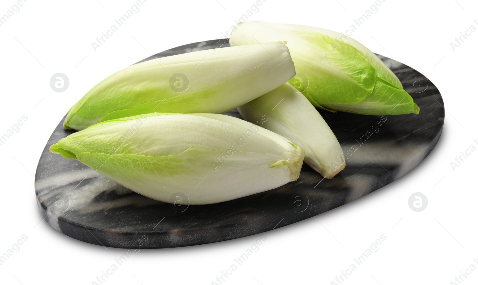 Photo of Raw ripe chicories on white background. Belgian endive