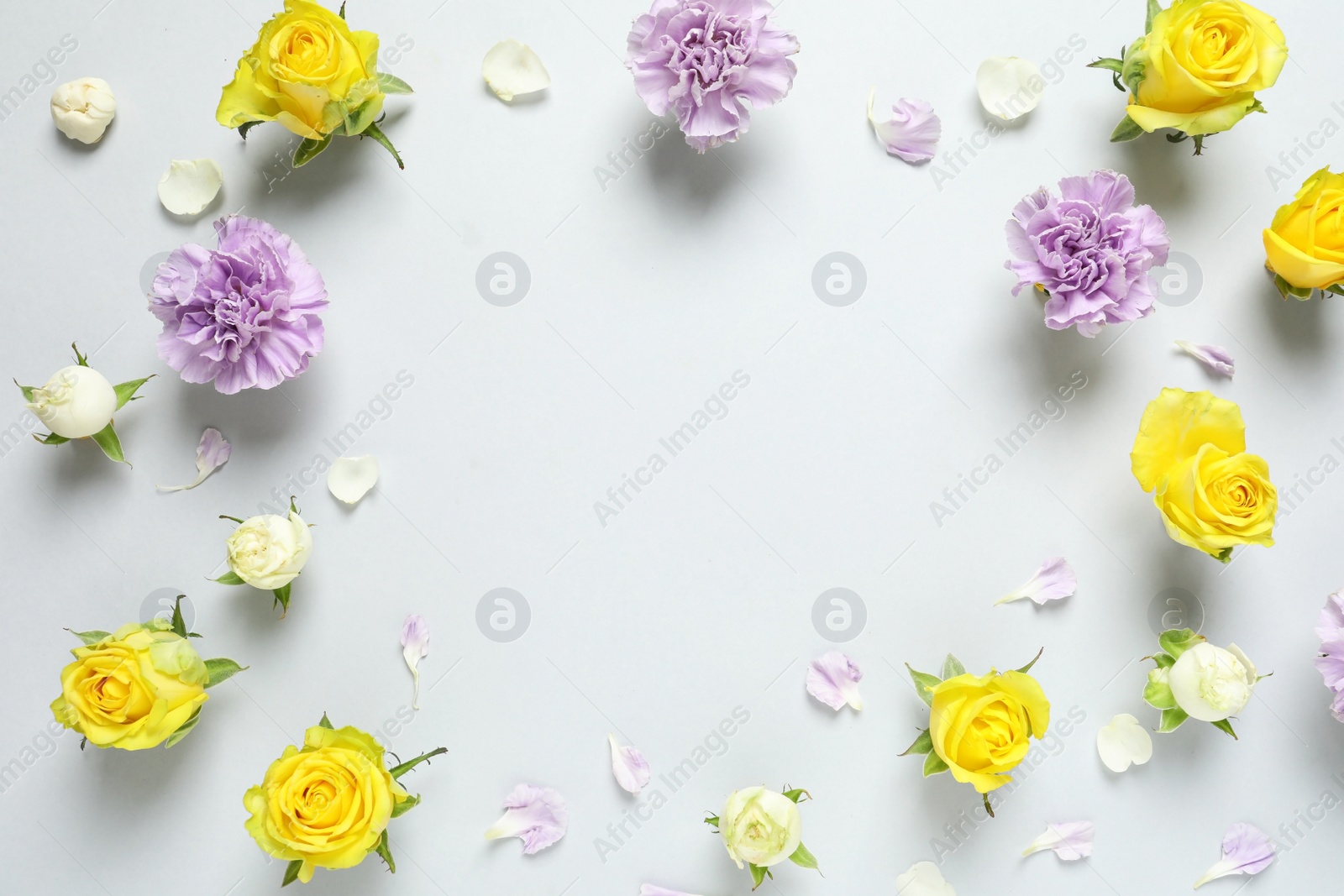 Photo of Flat lay composition with beautiful blooming flowers on grey background