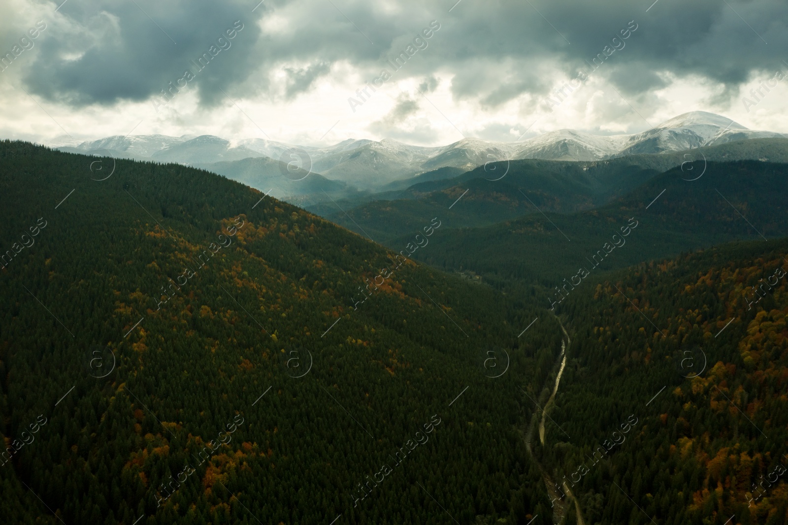 Image of Aerial view of beautiful forest and road in mountain on autumn day