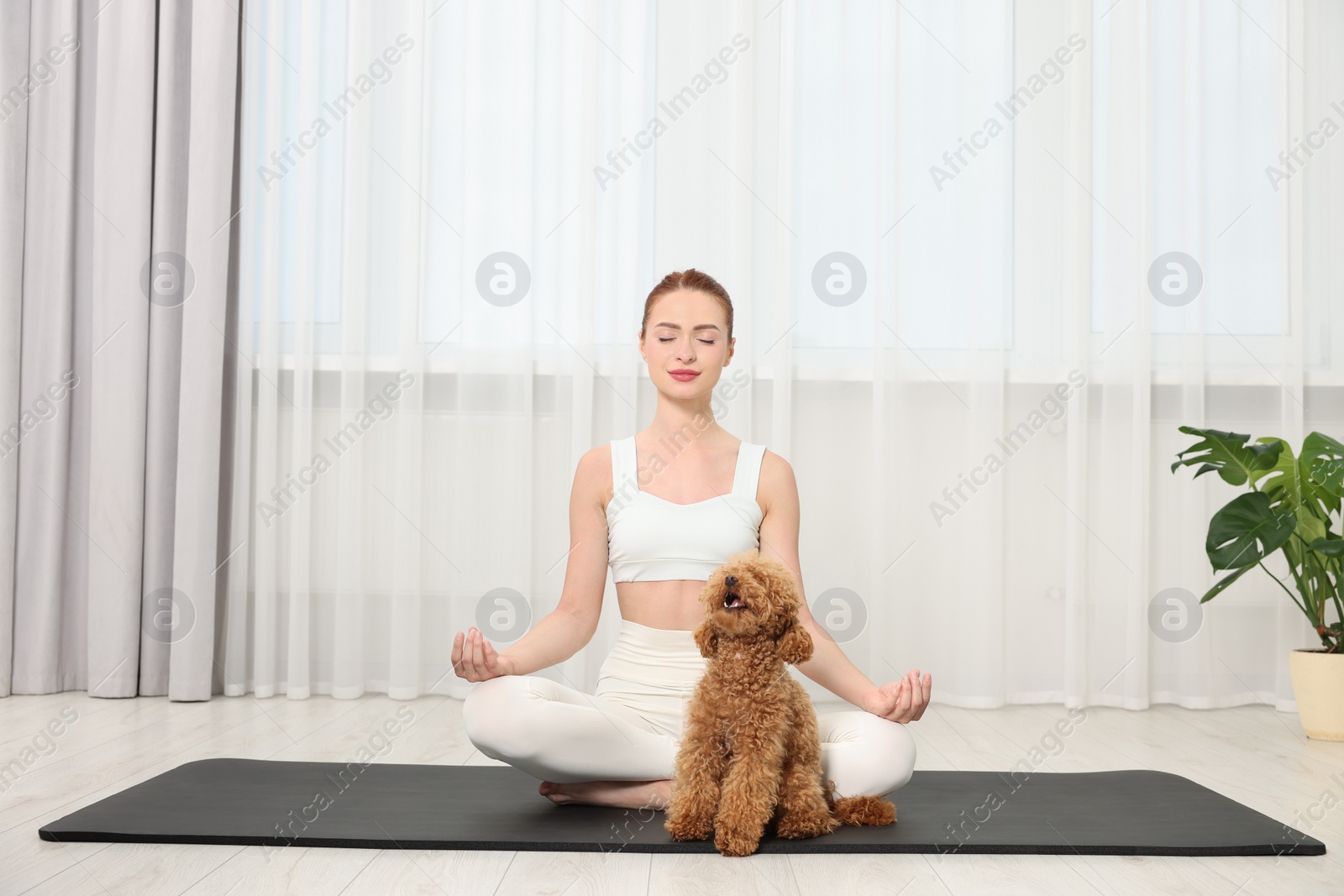 Photo of Young woman practicing yoga on mat with her cute dog indoors