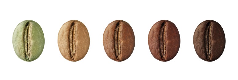 Image of Stages of roasting coffee beans on white background, collage. Banner design