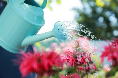 Sprinkling water onto flowers from watering can in beautiful garden, closeup