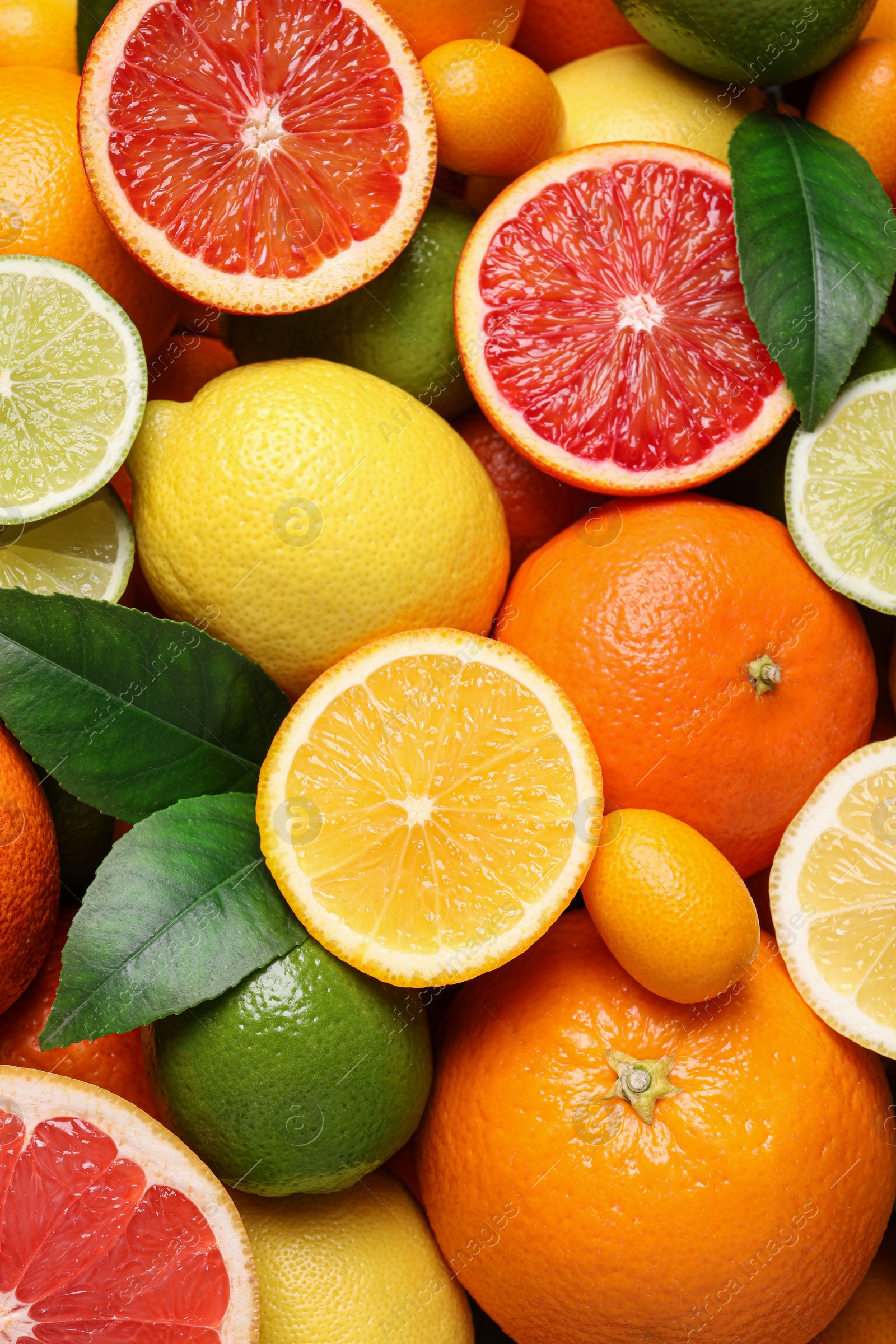 Photo of Different ripe citrus fruits as background, closeup