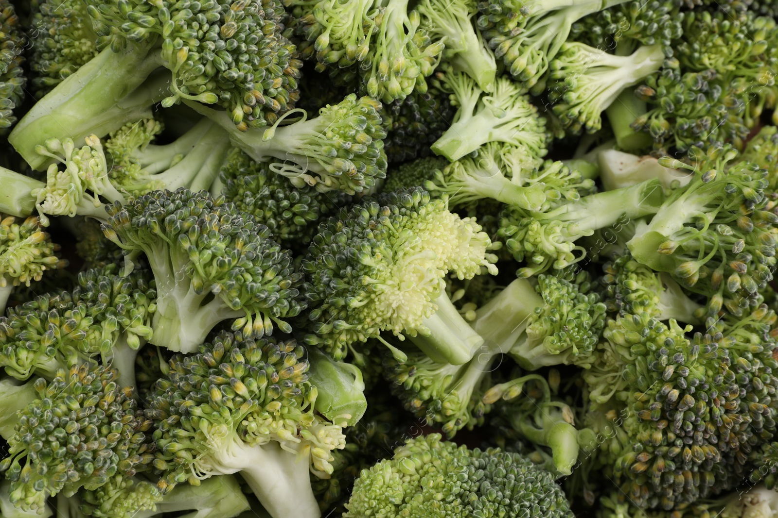 Photo of Fresh raw broccoli as background, top view