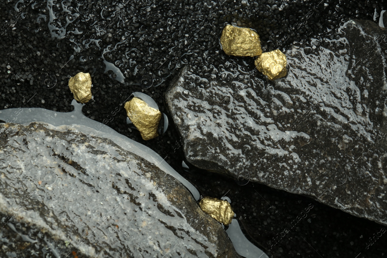 Photo of Shiny gold nuggets on wet stones, top view