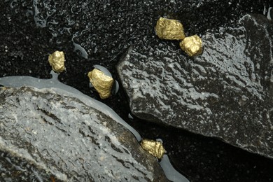 Photo of Shiny gold nuggets on wet stones, top view