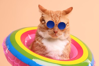 Photo of Cute ginger cat in stylish sunglasses with swim ring on beige background