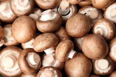 Photo of Fresh champignon mushrooms as background, top view