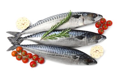 Raw mackerels, garlic, rosemary and tomatoes isolated on white, top view