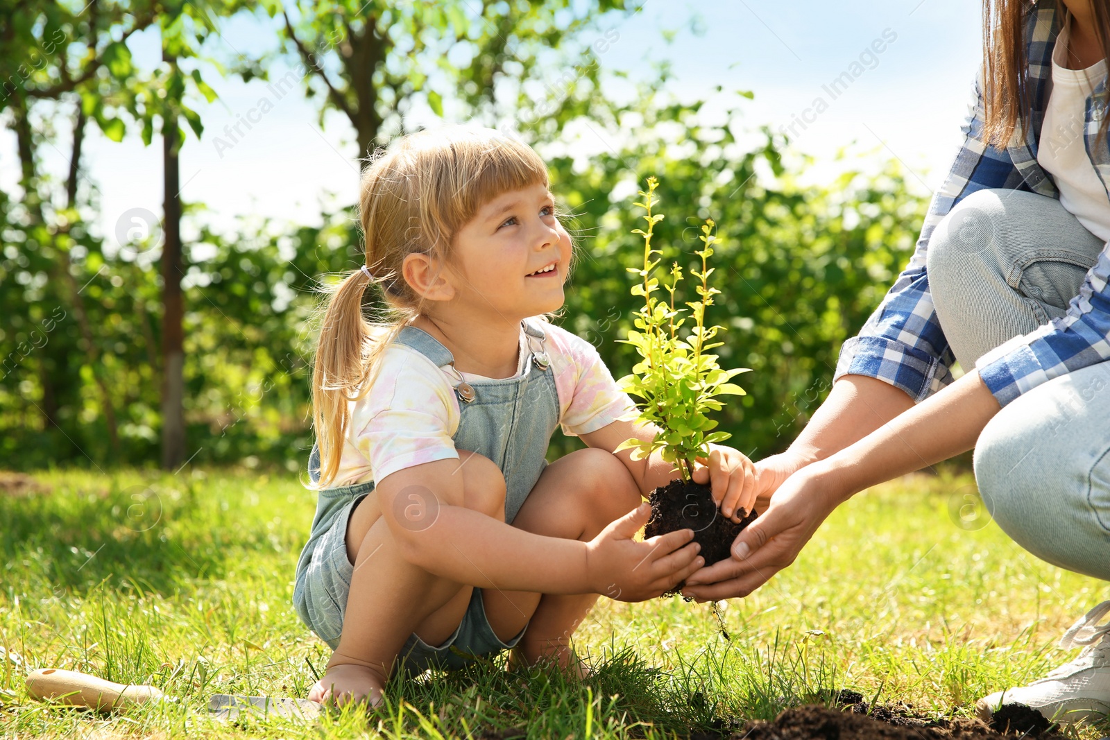 Photo of Mother and her daughter planting tree together in garden