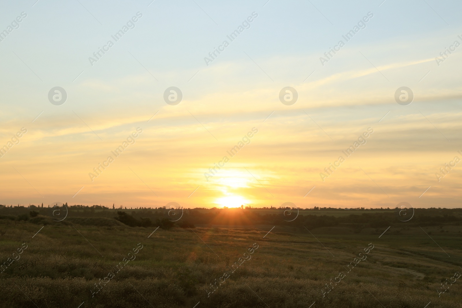 Photo of Picturesque view of beautiful countryside sunrise. Early morning landscape