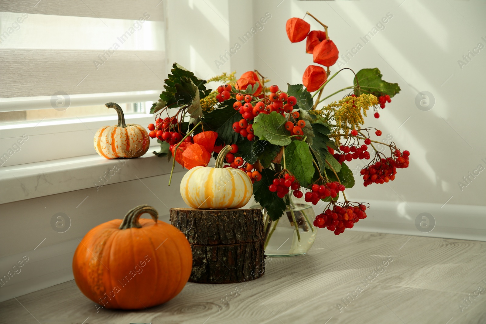 Photo of Beautiful autumn composition with different pumpkins indoors