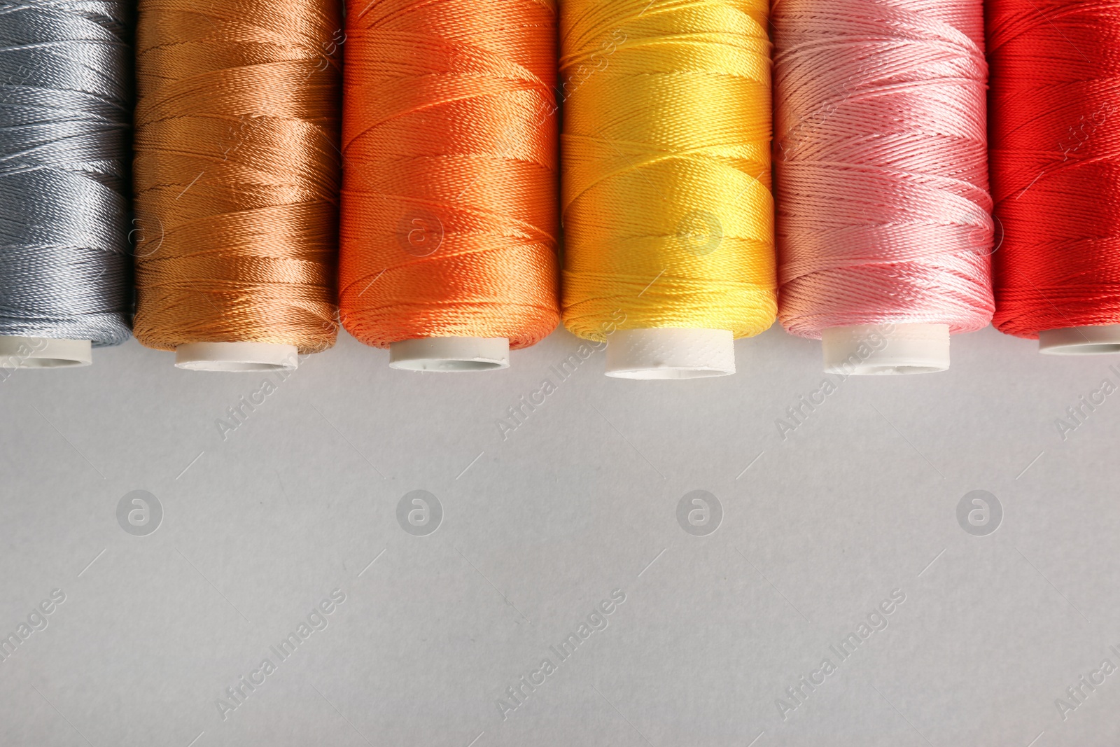 Photo of Different colorful sewing threads on light grey background, flat lay. Space for text