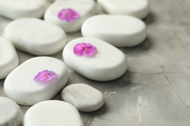 Photo of Spa stones and petunia flowers on grey table, closeup