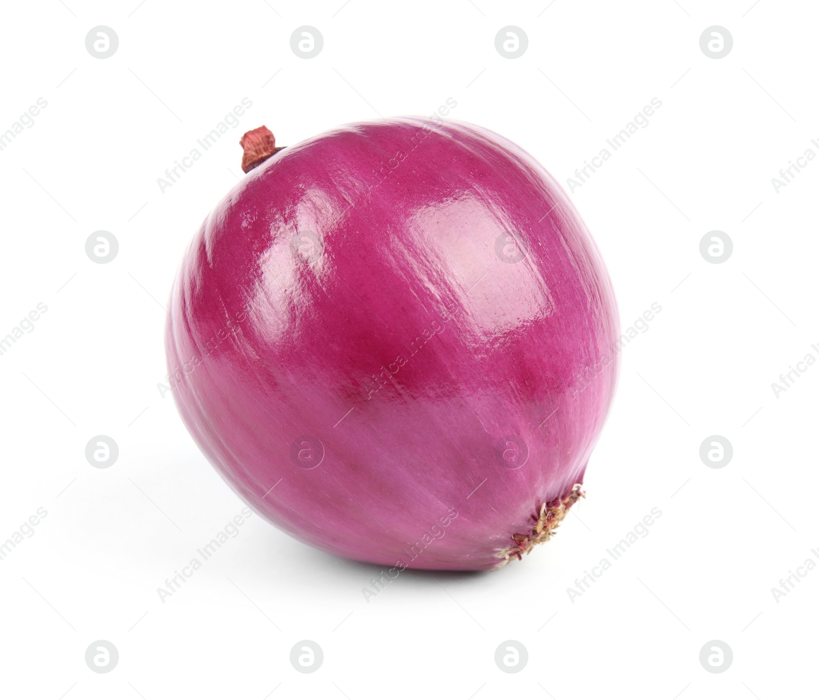 Photo of Fresh whole red onion on white background