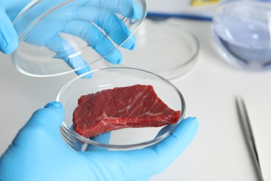 Scientist holding Petri dish with piece of raw cultured meat in laboratory, closeup