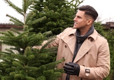 Photo of Man choosing plants at Christmas tree market