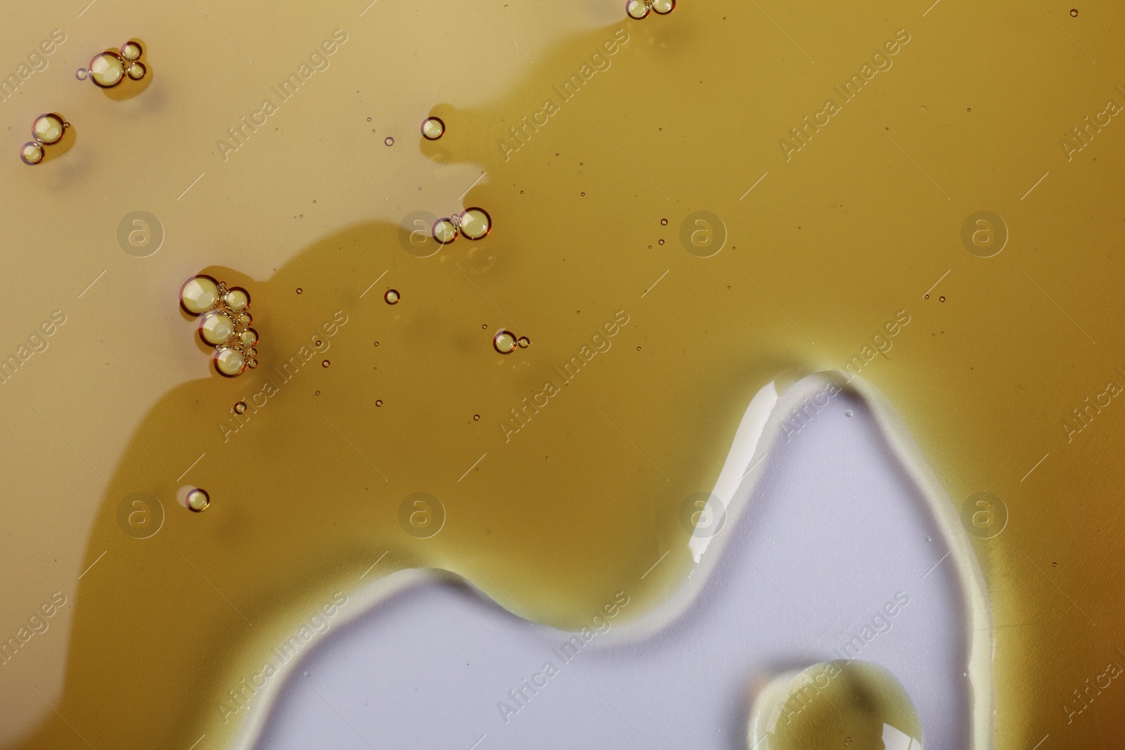 Photo of Petri dish with color liquid sample, closeup