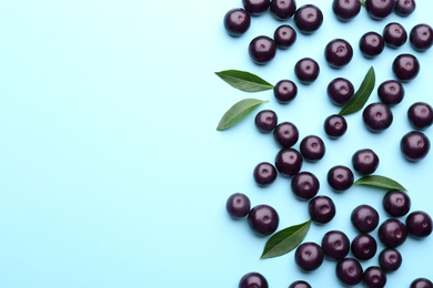 Fresh acai berries on light blue background, flat lay. Space for text