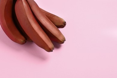 Tasty red baby bananas on pink background, top view. Space for text