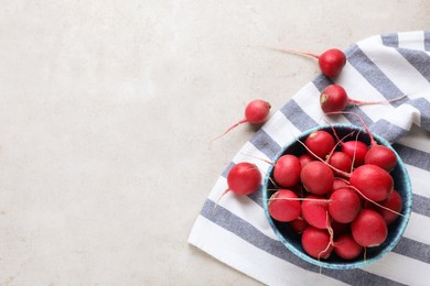 Bowl with fresh ripe radishes on light table, flat lay. Space for text