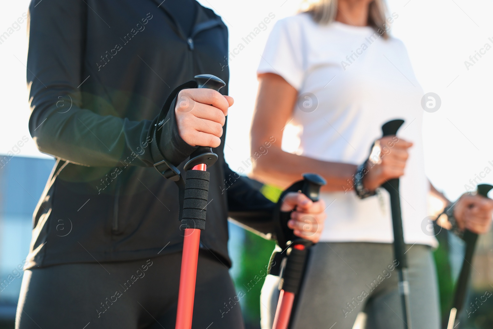 Photo of Women practicing Nordic walking with poles outdoors on sunny day, closeup