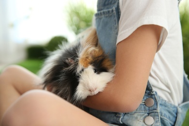 Little girl with guinea pig outdoors, closeup. Childhood pet