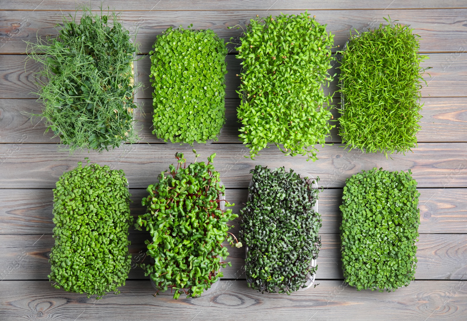 Photo of Fresh organic microgreens assortment on grey wooden table, flat lay