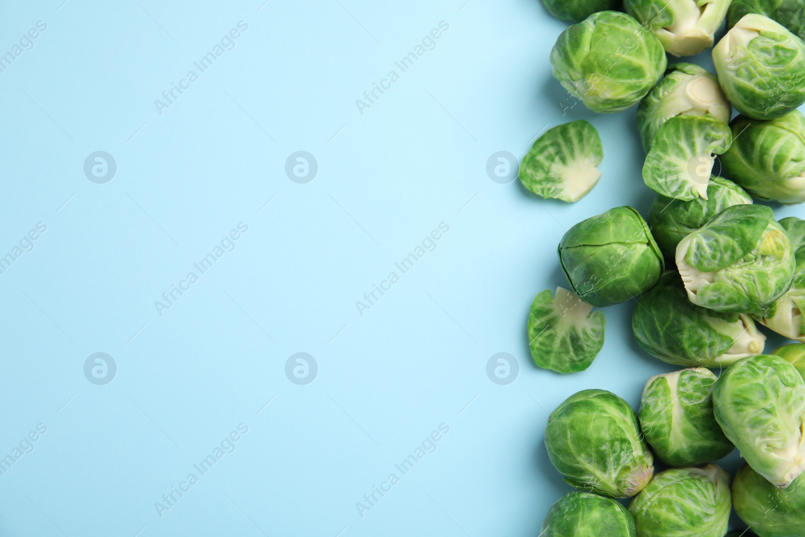 Photo of Fresh Brussels sprouts on light blue background, flat lay. Space for text