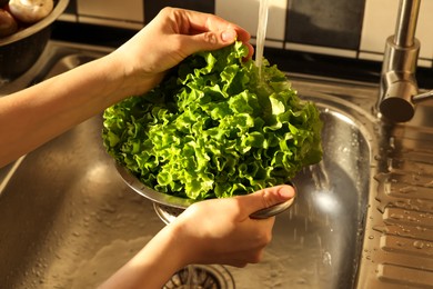 Photo of Woman washing fresh lettuce leaves in metal colander, closeup