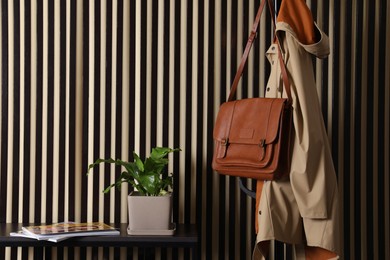 Photo of Beautiful fern on table and clothes rack near striped wall