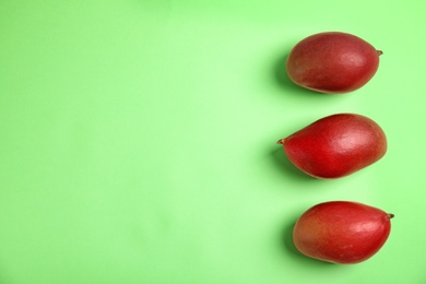 Flat lay composition with ripe mangoes and space for text on color background