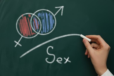 Image of Sexual education. Woman underlining female and male gender signs over word Sex on green chalkboard, closeup
