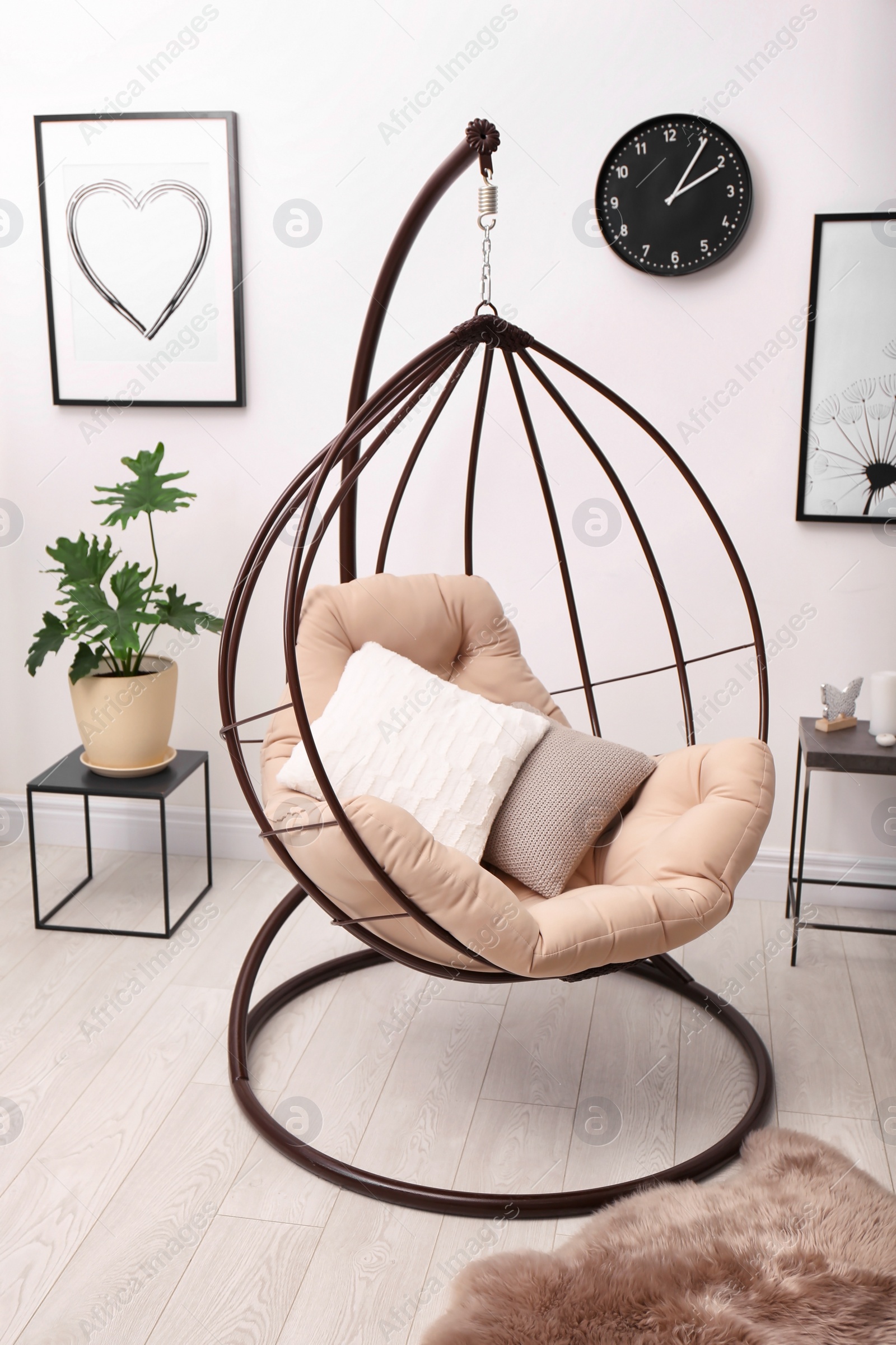 Photo of Tropical plant with green leaves and swing chair in room interior