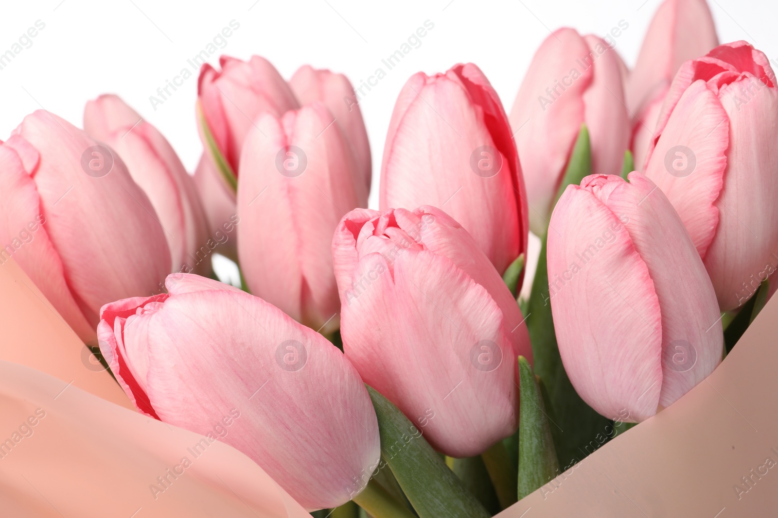 Photo of Bouquet of beautiful pink tulips on white background, closeup