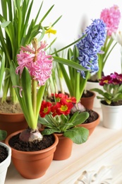 Different beautiful potted flowers on table near white wall