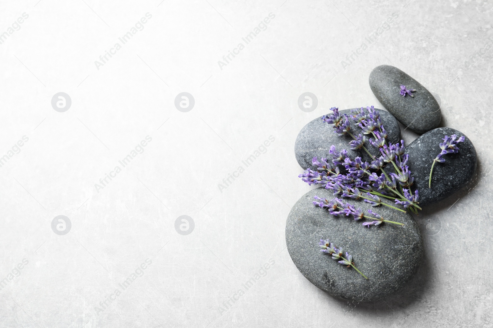 Photo of Spa stones and lavender flowers on grey table, flat lay. Space for text