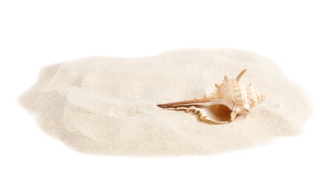 Photo of Pile of beach sand with sea shell on white background