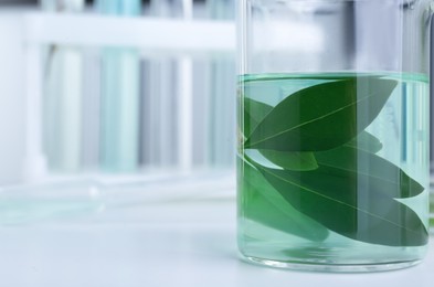 Photo of Glass test tube with liquid and leaves on white table in laboratory, closeup. Space for text